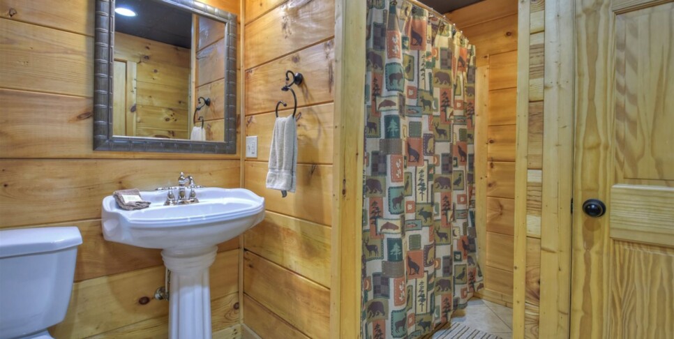 Mineral Bluff - Almost Heaven - Bathroom