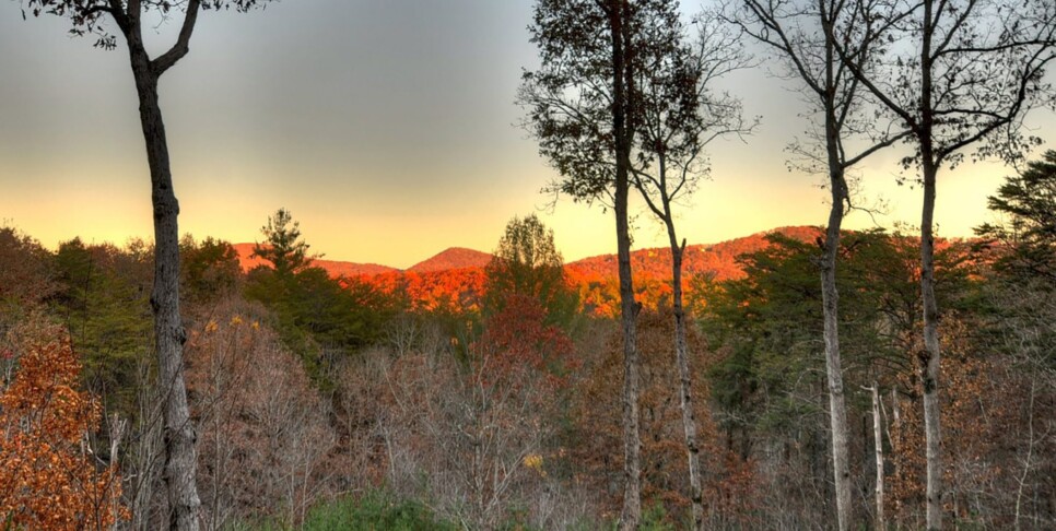 Mineral Bluff - Almost Heaven - Exterior