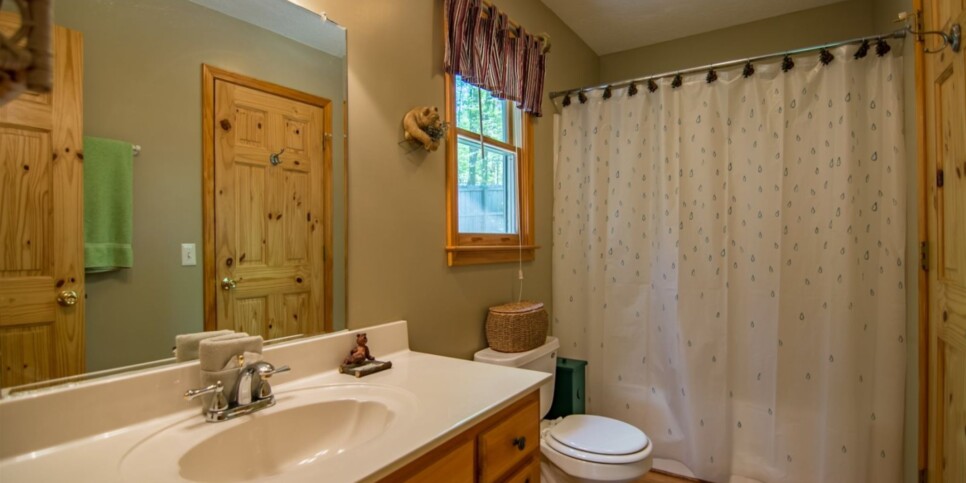 Mineral Bluff - Annie's Mountain Mist - Bathroom