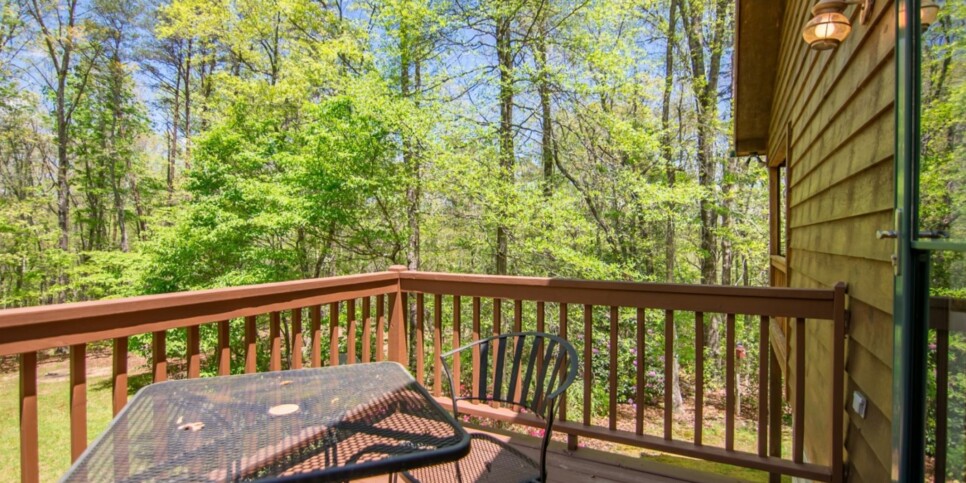 Mineral Bluff - Annie's Mountain Mist - Exterior