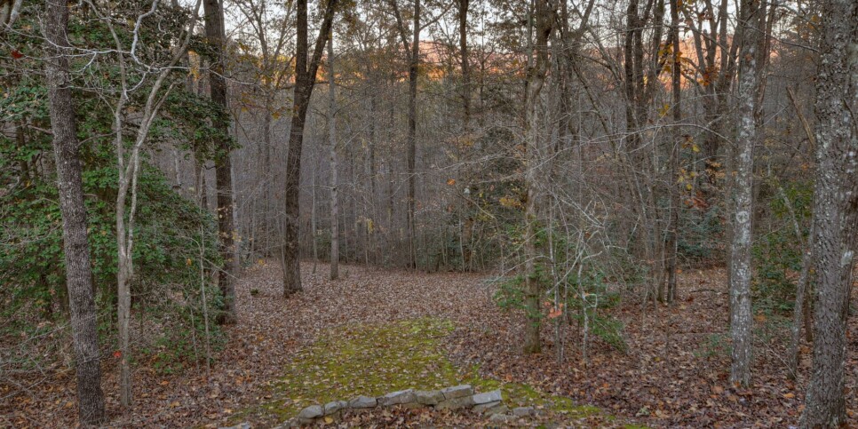Mineral Bluff - Annie's Mountain Mist - Exterior