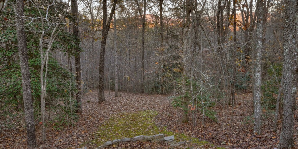 Mineral Bluff - Annie's Mountain Mist - Exterior