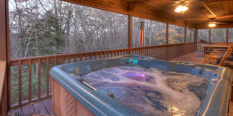 Mineral Bluff - Annie's Mountain Mist - Exterior