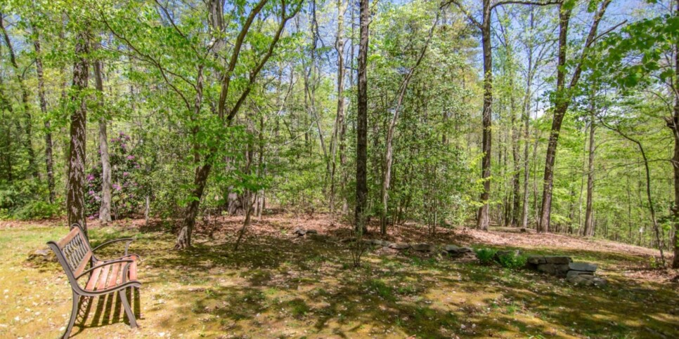 Mineral Bluff - Annie's Mountain Mist - Exterior