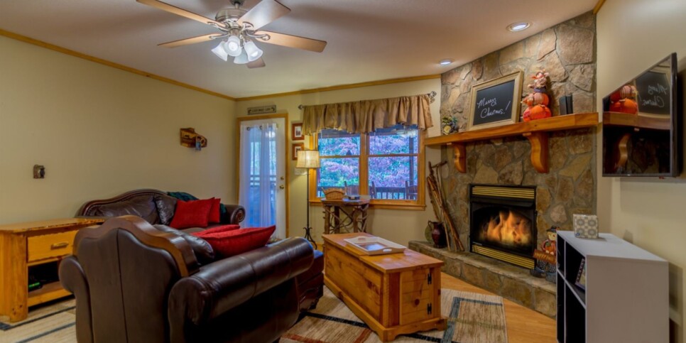 Mineral Bluff - Annie's Mountain Mist - Living