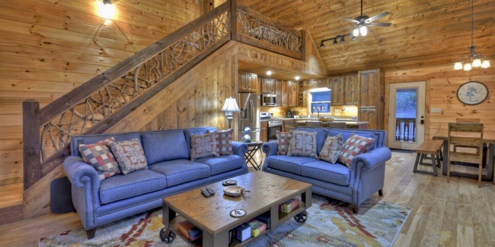 Mineral Bluff - Smores Cabin - Living Room