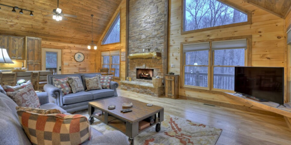 Mineral Bluff - Smores Cabin - Living Room