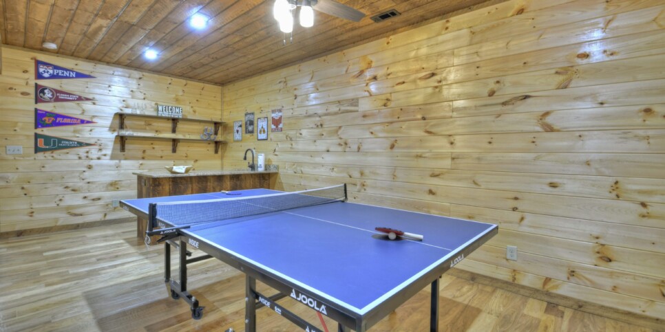 Mineral Bluff - Smores Cabin - Recreation