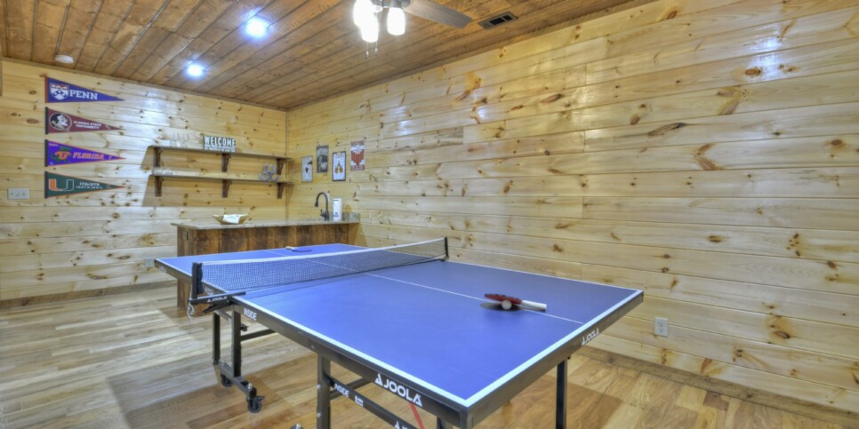 Mineral Bluff - Smores Cabin - Recreation