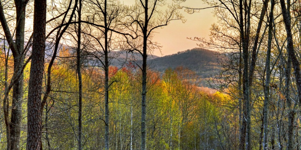Morganton - Cardinal's Crossing - Exterior