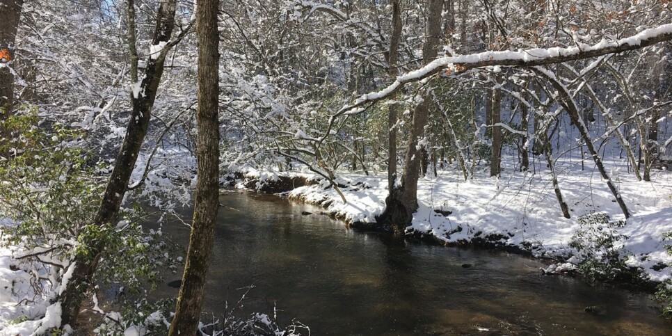 morganton-knotty-creek-retreat-exterior-12