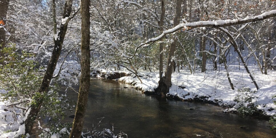morganton-knotty-creek-retreat-exterior-12