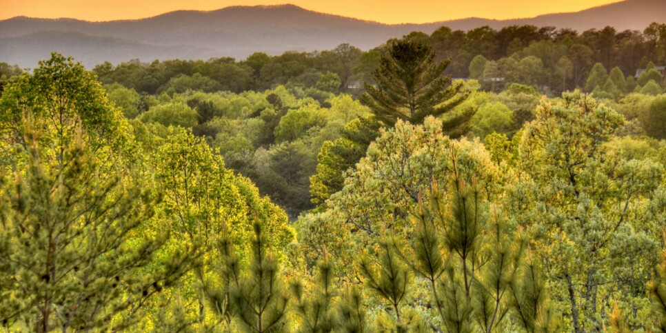 Blue Ridge Cabin - Sweet Seclusion - Exterior