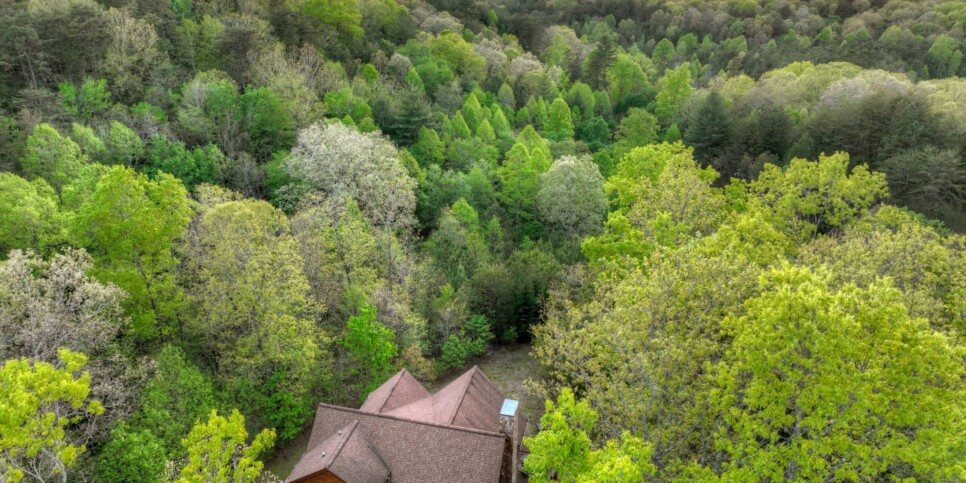 default Blue Ridge Cabin - Sweet Seclusion - Exterior