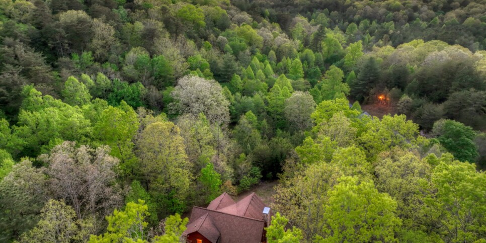 default Blue Ridge Cabin - Sweet Seclusion - Exterior