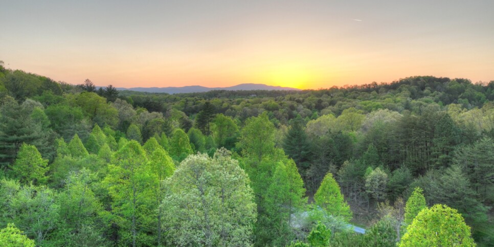 default Blue Ridge Cabin - Sweet Seclusion - Exterior