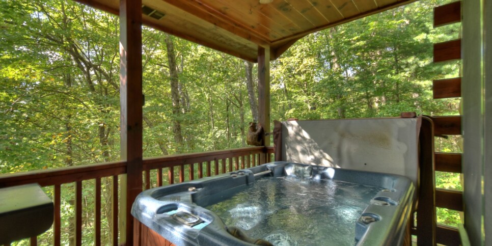 Blue Ridge - Bearfoot Ridge - Exterior