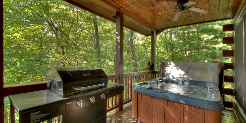 Blue Ridge - Bearfoot Ridge - Exterior