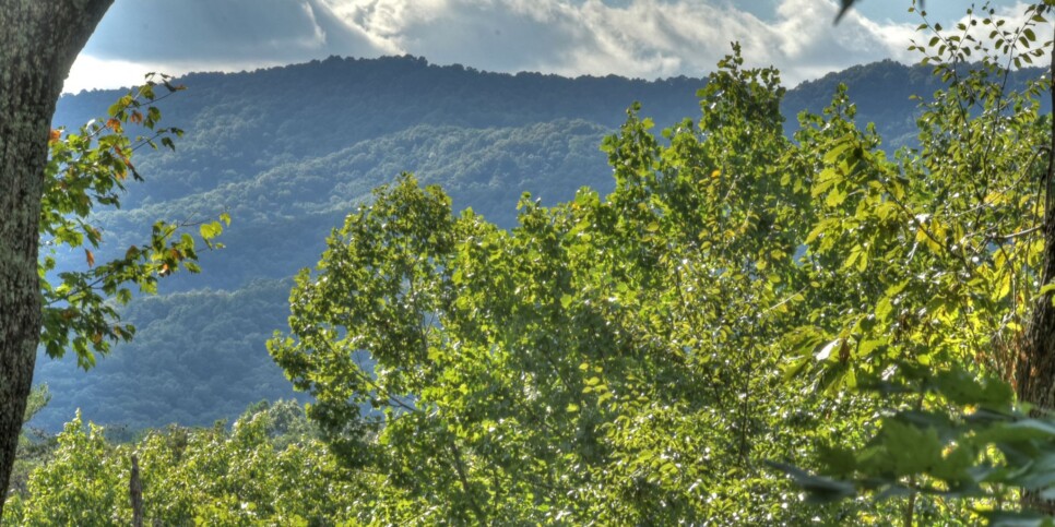Blue Ridge - Bearfoot Ridge - Exterior