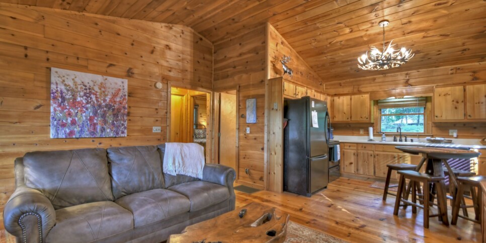 Blue Ridge - Bearfoot Ridge - Living Room