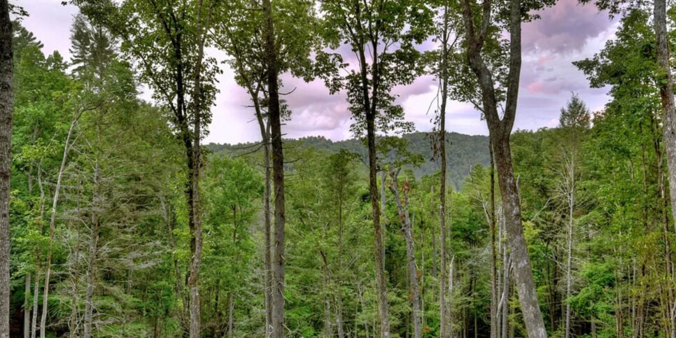 Blue Ridge - River Bend - Exterior Temp