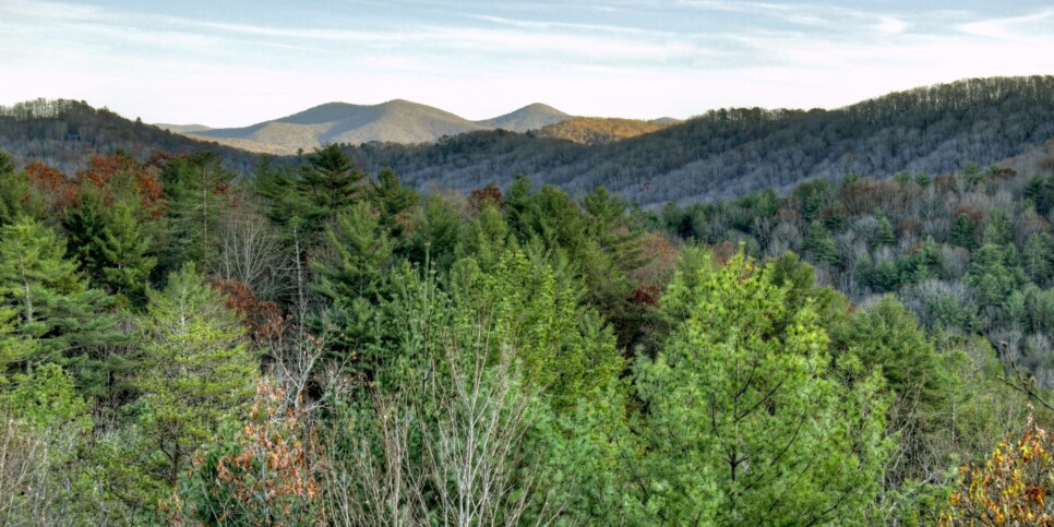 Blue Ridge - Bar 5 Cabin - Exterior