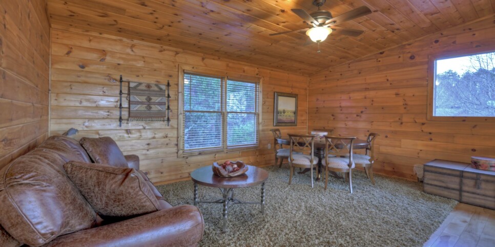 Blue Ridge - Bar 5 Cabin - Rec Room