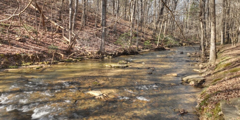 Ellijay - Cabin Rental - Harleys River Retreat - Exterior