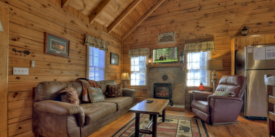 Ellijay - Cabin Rental - Harleys River Retreat - Living Room