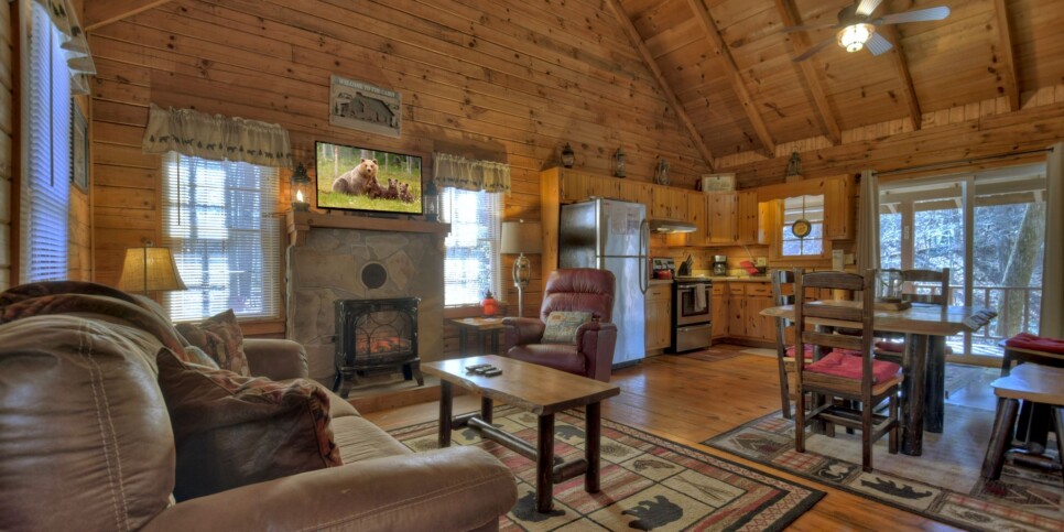Ellijay - Cabin Rental - Harleys River Retreat - Living Room