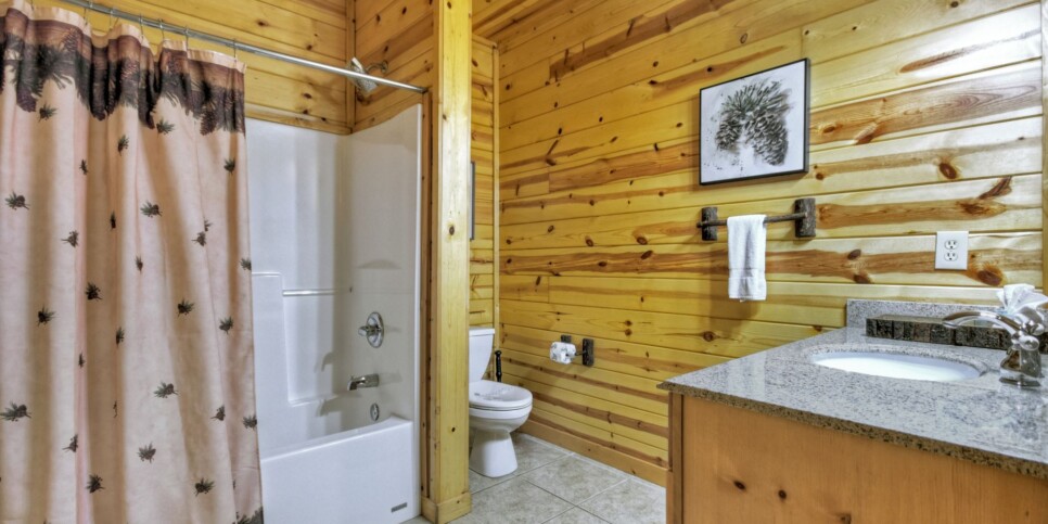 Blue Ridge - The Overlook on Fightingtown - Bathroom