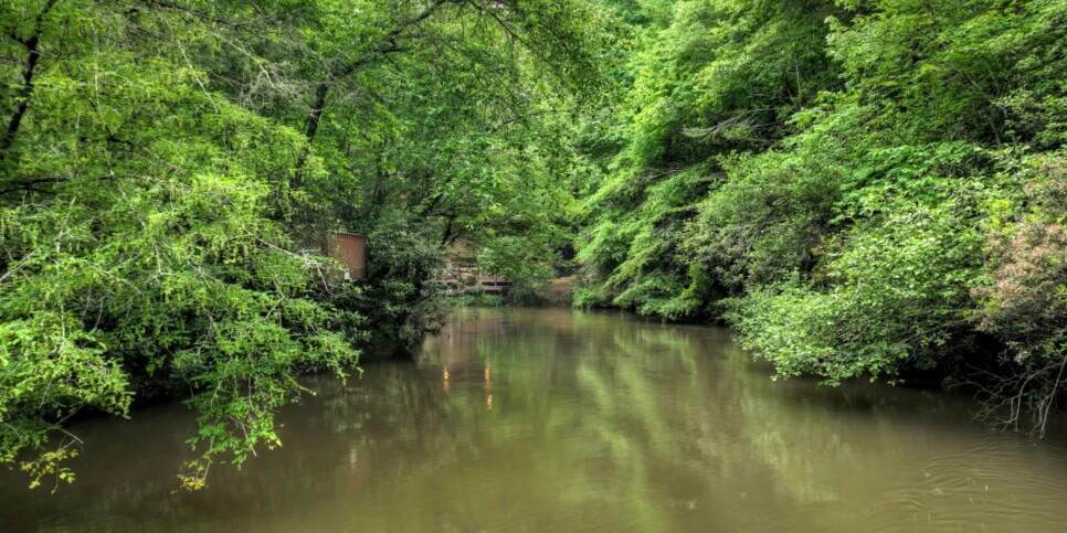 Blue Ridge - The Overlook on Fightingtown - Exterior