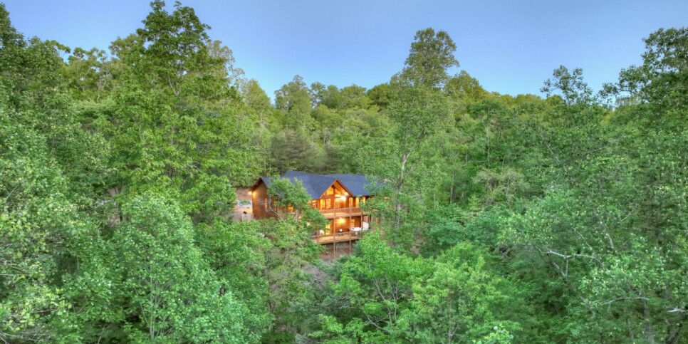 Mineral Bluff - Rohring Retreat - Exterior