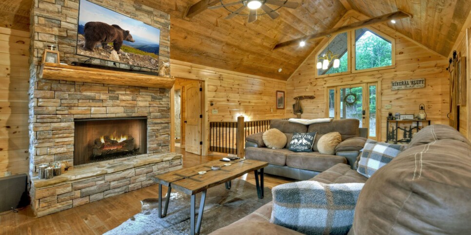 Mineral Bluff - Rohring Retreat - Living Room