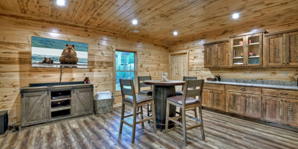 Mineral Bluff - Rohring Retreat - Rec Room