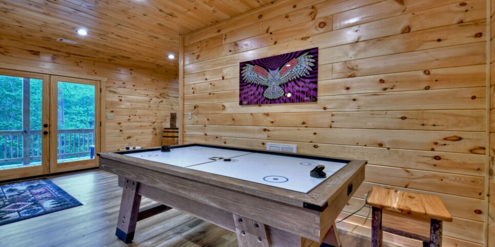 Mineral Bluff - Rohring Retreat - Rec Room