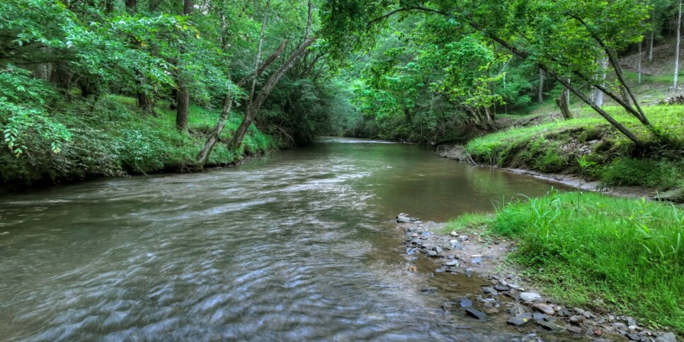 Blue Ridge - Your Happy Place - Exterior