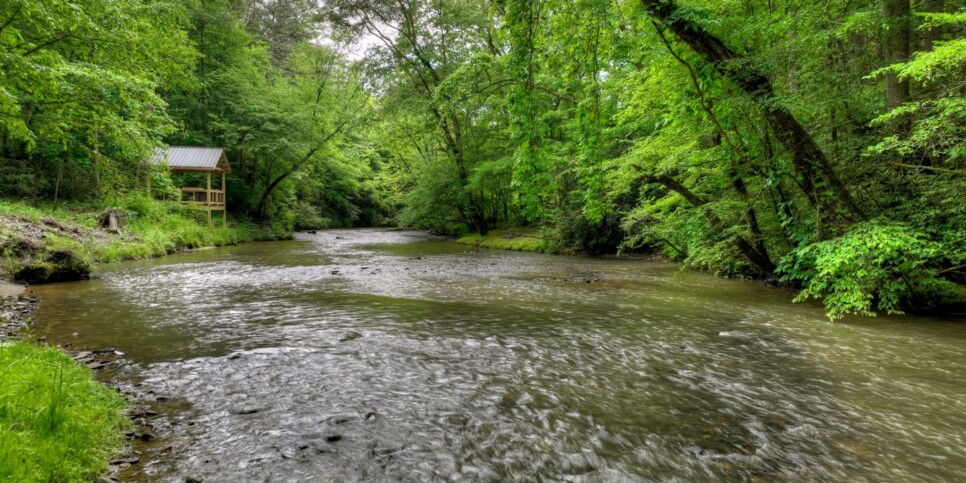 Blue Ridge - Your Happy Place - Exterior