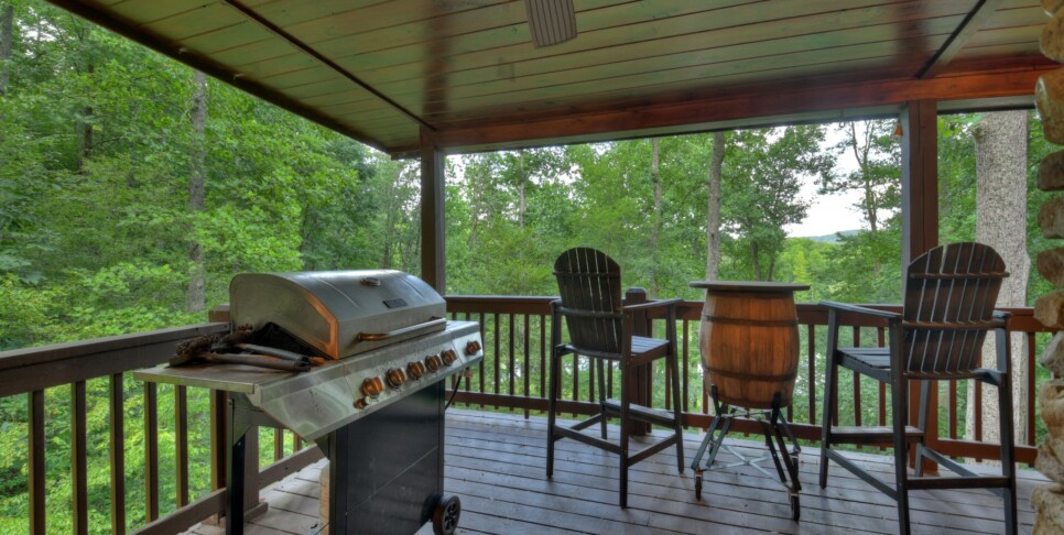 Blue Ridge Cabin - Blueberry Hill - Exterior