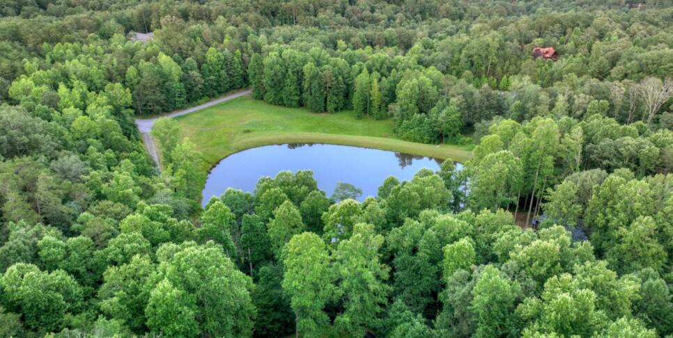 Blue Ridge Cabin - Blueberry Hill - Exterior