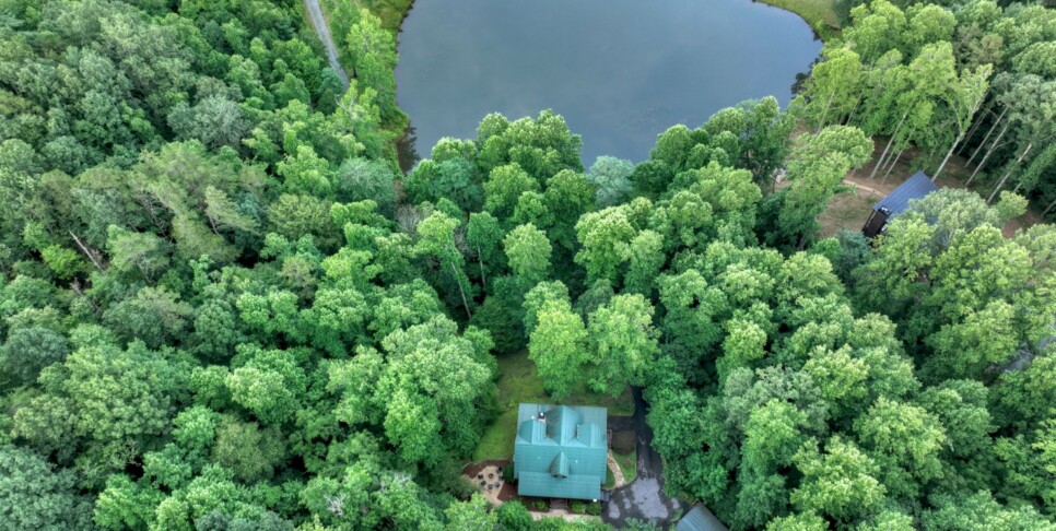 Blue Ridge Cabin - Blueberry Hill - Exterior