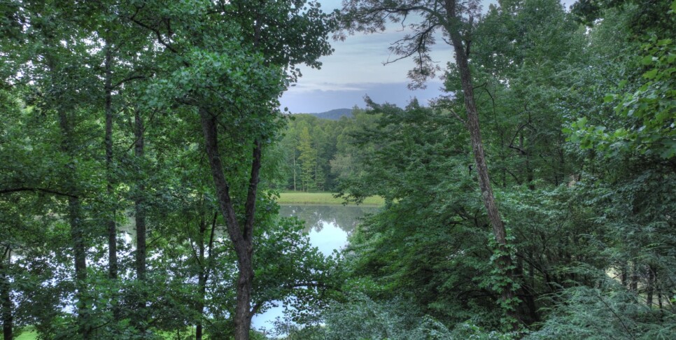 Blue Ridge Cabin - Blueberry Hill - Exterior