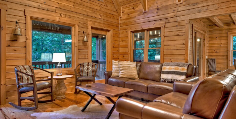 Blue Ridge Cabin - Blueberry Hill - Living Room