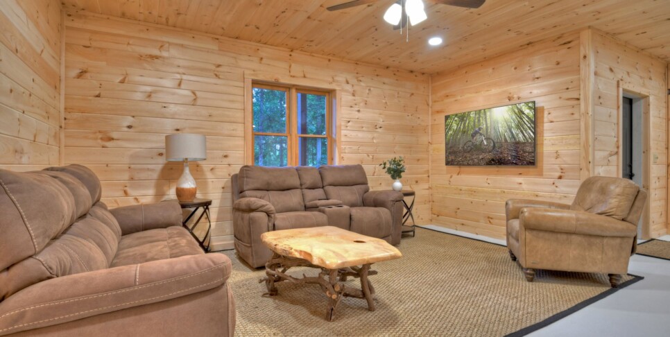Blue Ridge Cabin - Blueberry Hill - Living Room