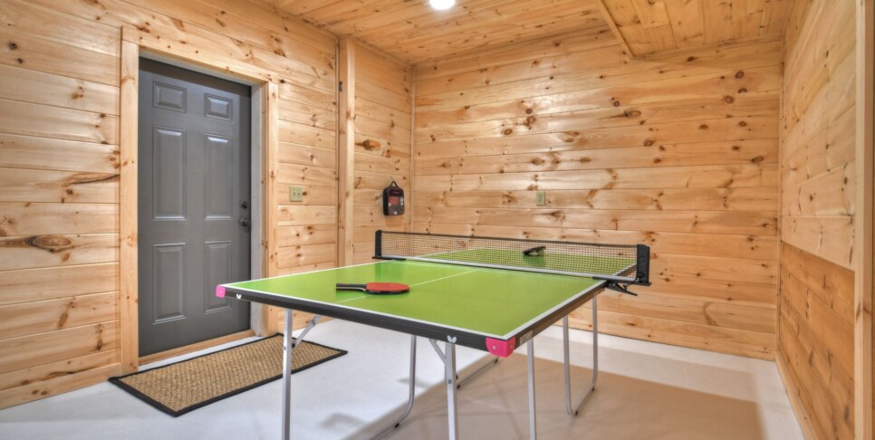 Blue Ridge Cabin - Blueberry Hill - Rec Room