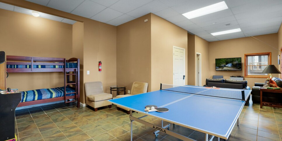 Blue Ridge - Eagles View Ridge - Rec Room