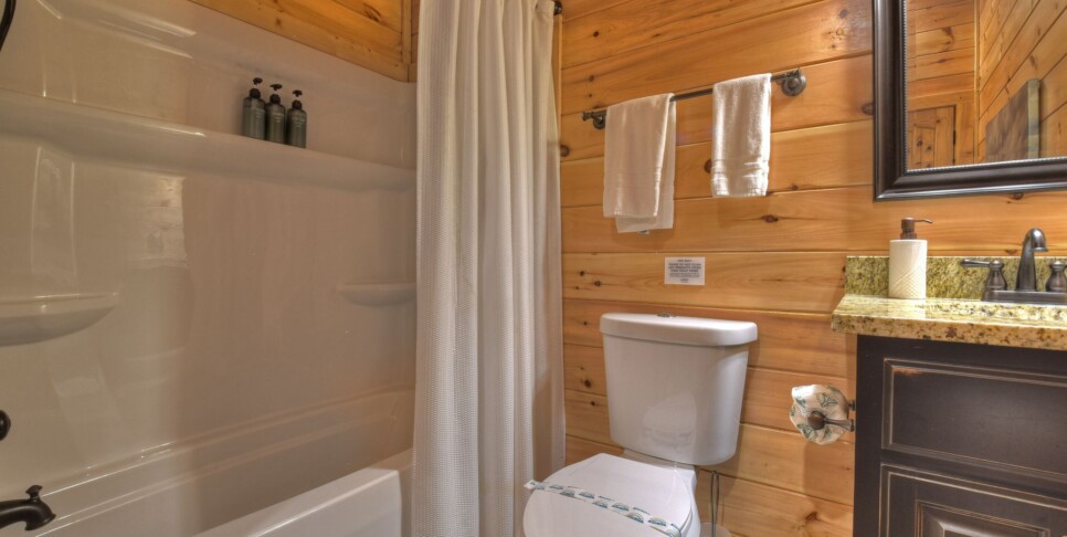 Blue Ridge - Sunrise Vista Lodge - Bathroom