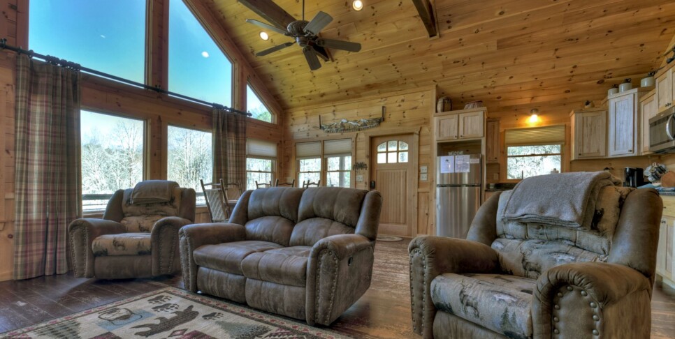 Blue Ridge - Carters Cozy Cabin - Living Room