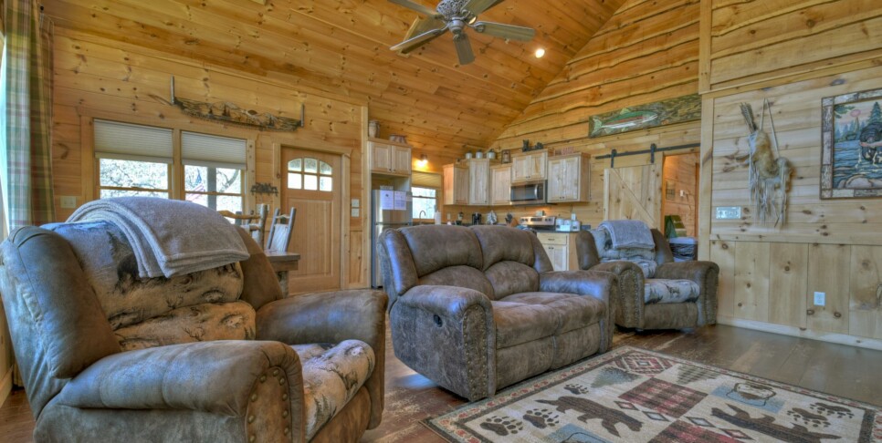 Blue Ridge - Carters Cozy Cabin - Living Room