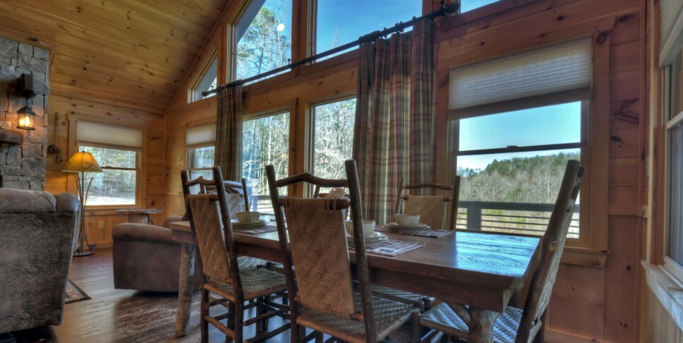 Blue Ridge - Carters Cozy Cabin - Living Room